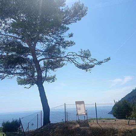 Casafischea 21 Lägenhet Moneglia Exteriör bild